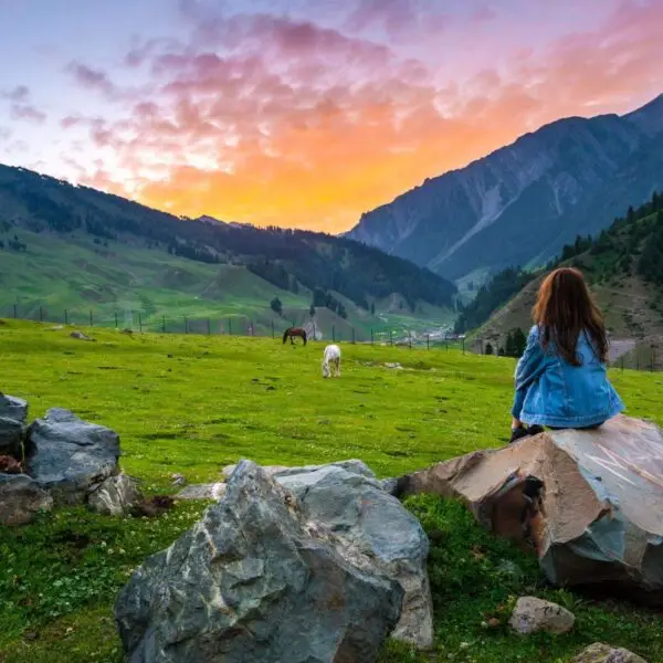 Kashmir Honeymoon Package: 6 Nights & 7 Days in the Valley of Dreams.